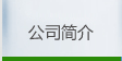 公司簡介